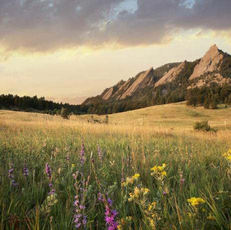 Scenski pogled na livadu i planine, Boulder, Colorado, SAD