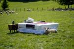 Poljoprivrednici Waitrose isporučuju vunu za asortiman madraca John Lewis