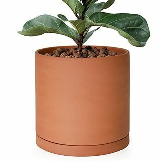Lonac za biljke od terakote