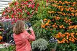 Gardeners' World Live Special Edition, 26