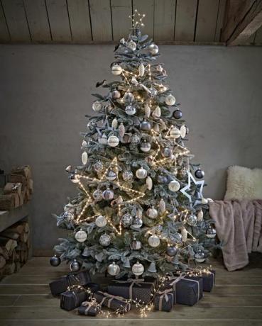 Božićno drvce plave smreke