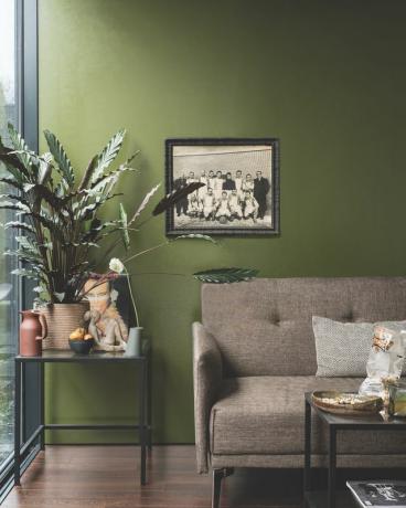 Green Farrow & Ball dnevni boravak