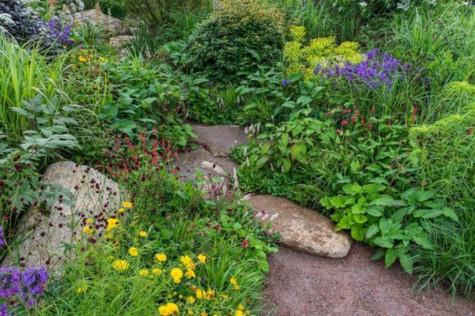 rhs vrt za zelenu budućnost dizajnirao Jamie Butterworth Hampton Court Palace Garden Festival 2021.