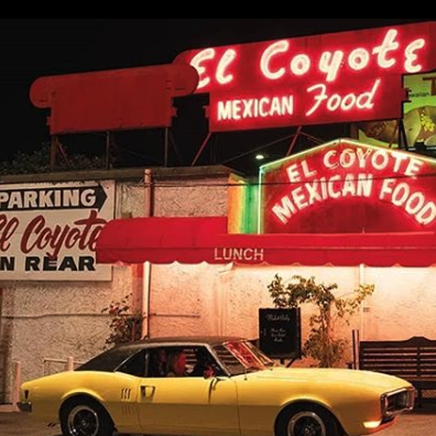 el coyote film film jednom u hollywoodu