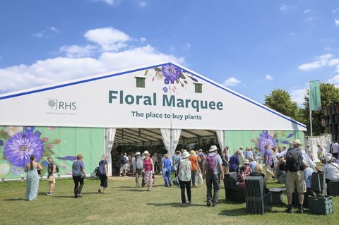 ljudi koji posjećuju ogroman cvjetni šator na rhs Hampton Court Palace Garden Festivalu nekadašnjoj izložbi cvijeća u Hampton Courtu