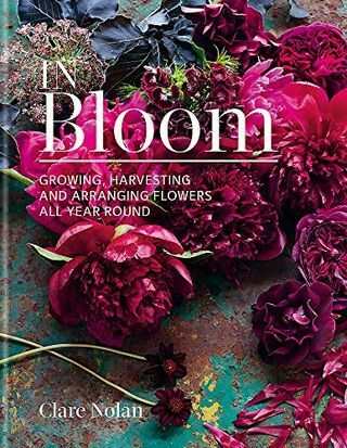 In Bloom: Uzgoj, berba i aranžiranje cvijeća tijekom cijele godine