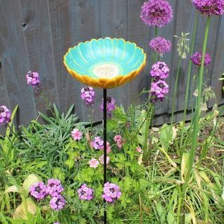 African Daisy Bird Drinker