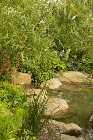 rhs vrt za zelenu budućnost koji je dizajnirao Jamie Butterworth u palači u palači Hampton Court 2021