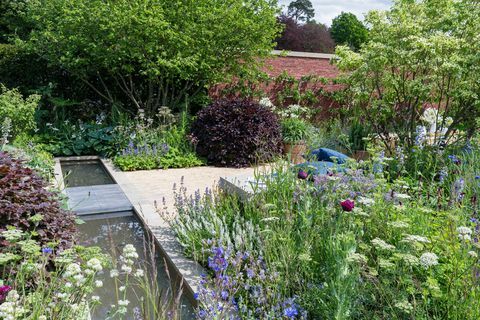 RHS Chatsworth Flower Show - Wedgwood Garden dizajnirao Jamie Butterworth