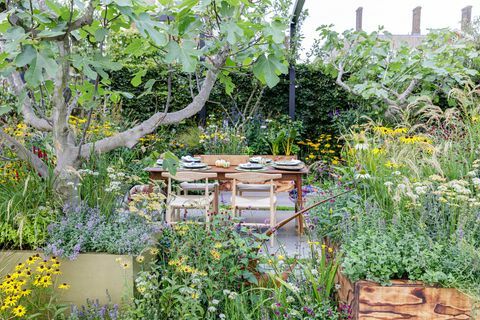 rhs chelsea flower show 2021 utočište vrtovi