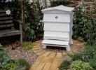 Kako privući pčele u svoj vrt