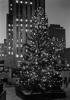 Povijest božićnog drvca