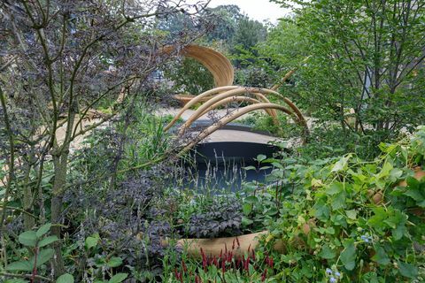 rhs chelsea flower show 2021 sadrži vrtove