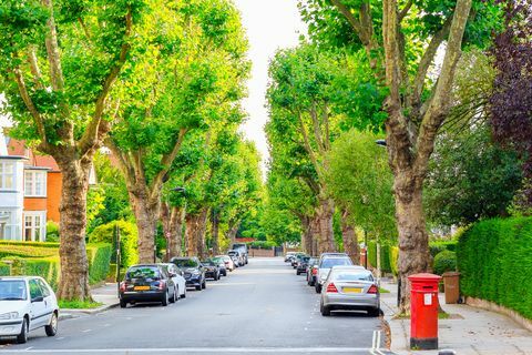 Ulica prekrivena drvećem u West Hampsteadu u Londonu