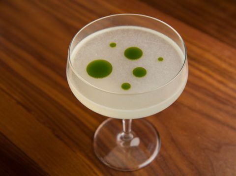 bosiljak gimlet