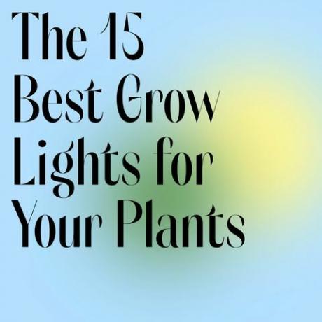 15 najboljih svjetala za uzgoj vaših biljaka