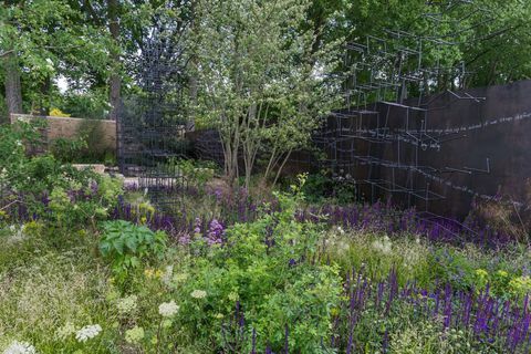 Razbijanje terena. Dizajnirali: Andrew Wilson i Gavin McWilliam. Sponzorirao: Darwin Property Investment Management Ltd. RHS Chelsea Flower Show 2017