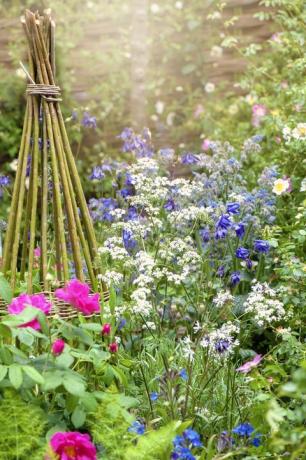 Predivna živahna vrtna korita engleske kućice s pletenom biljnom potporom na maglovitom ljetnom suncu
