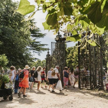 posjetitelji koji kupuju biljke na rhs hampton court Palace Garden Festivalu 2022