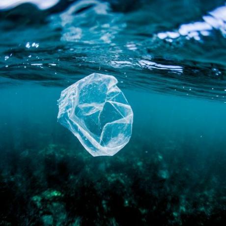 plastična vrećica koja pluta nad grebenom u oceanu, Kostarika