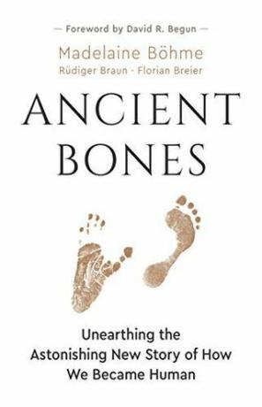 Drevne kosti: otkrivanje zapanjujuće nove priče o tome kako smo postali ljudi