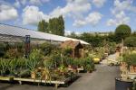 Drugo zaključavanje: Hoće li vrtni centri u Engleskoj ostati otvoreni?