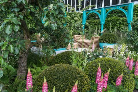 '500 godina Covent Garden' Vrt zaklade Sir Simon Milton u partnerstvu s Capcom. Dizajnirao: Lee Bestall Sponzorirali su: Capital & County County PLC. RHS Chelsea Flower Show 2017