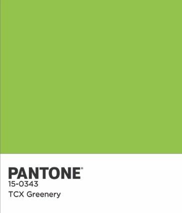 Pantone COTY 2017 u boji