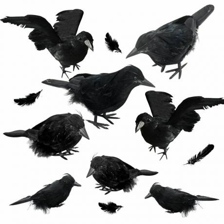 Crne pernate vrane, set od 8 komada