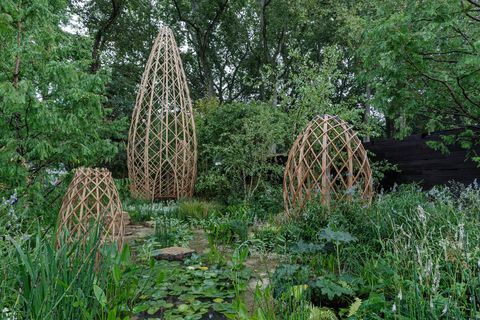 rhs chelsea show gardens 2021 show gardens