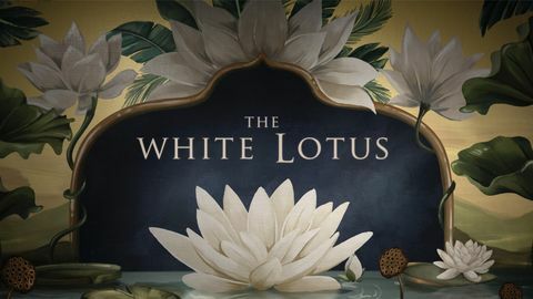 tapeta iz uvodnih zapisa hbo's the white lotus