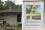 Znak ove obitelji objašnjava zašto njihov pas voli sjediti na krovu