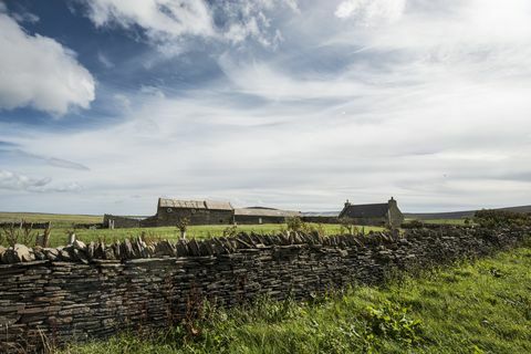 Holm of Grimbister - Škotska - Orkney - zid - Savills