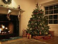 Real vs. Lažna božićna drvca: koje je pravo za vaš dom?
