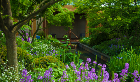 Vrt Morgan Stanley za bolnicu Street Great Ormond dizajniran je za nastup na RHS Chelsea Flower Showu.