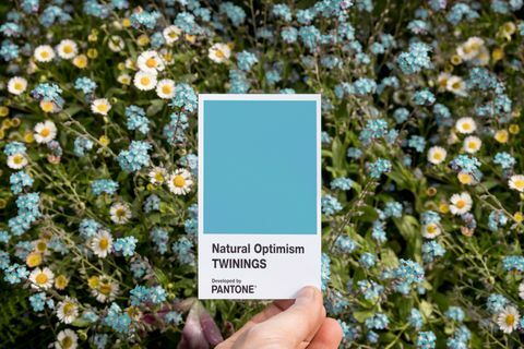 Twinings infuzije Prirodni optimizam u suradnji s Pantoneom