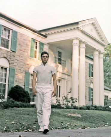 Elvis Presley u Gracelandu