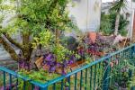 Balkonski vrtovi Chelsea Flower Show 2021: fotografije