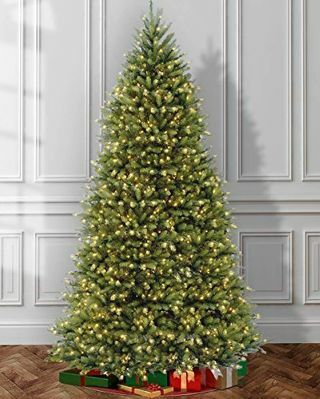 12' Pre-Lit Dunhill Fir