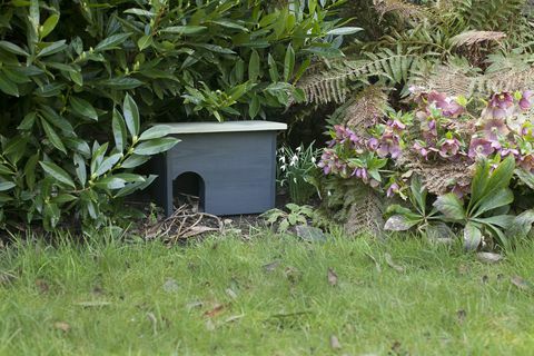 Vrtna kuća Orkney ježa
