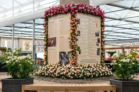 Spomenik Davidu Austinu Rosesu, Chelsea Flower Show 2019