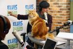 Obožavatelji podržavaju Bobbyja Flaya nakon što je objavio smrt svoje mačke Nacho