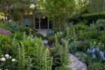Chelsea Flower Show: Kupite biljke iz vrta Chrisa Beardshawa