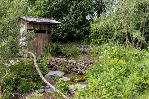rewilding britain krajolik koji su dizajnirali lulu urquhart i adam hunt sponzoriran od strane projekta davanja podrške za rewilding britain show vrt rhs chelsea cvjetna izložba 2022.