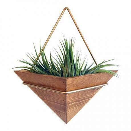 Artisanal Geometric Air Plant Držač