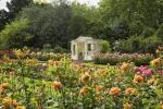 Vrt Buckinghamske palače bit će otvoren za posjetitelje ovog ljeta