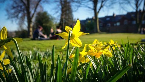 Svakodnevni život u Sheffieldu