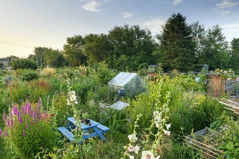 alotment garden u Oxfordshireu osvojio je nagradu za vrt godine u svjetskom časopisu bbc gardeners 2021.