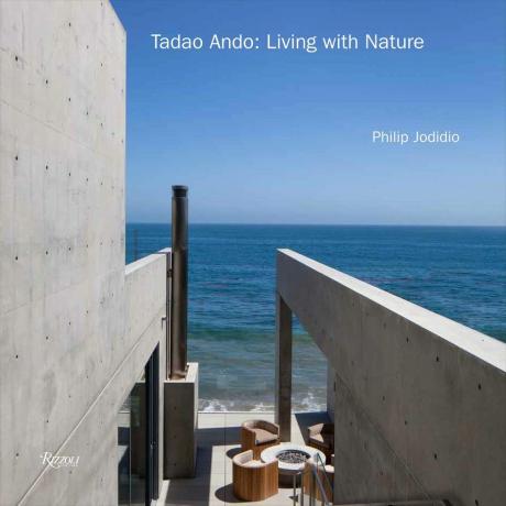 Tadao Ando: Živjeti sa svjetlom